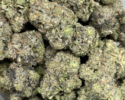 11 WEEK PINK (MEGA GAS DEAL) - Image 3